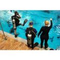 Scuba Diving Experience for One in Essex