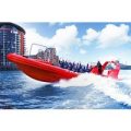 Thames Rockets Powerboating Experience for One