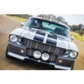 Shelby GT500 ‘Eleanor’ Driving Blast Experience