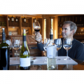 Saturday Introductory or Advanced Wine Course