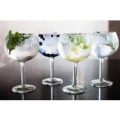 Gin Tasting Experience for Two at Jenever Gin Bar