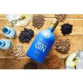 Gin Masterclass for Two at 45 Gin School