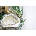 Six Oysters and Glass of Cuvee Champagne for Two at Searcys at The Gherkin