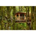 Two Night Tree House Escape for Two
