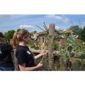 Keeper for a Day at ZSL London Zoo