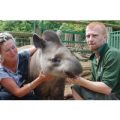Tickle a Tapir Experience for Two at Paradise Wildlife Park