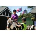 Two Hour New Forest Horse Riding Experience for Two