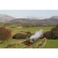 Cream Tea and Steam Experience for Two at Ravenglass Railway