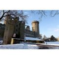 Warwick Castle Entry with Afternoon Tea at the Conservatory Tea House