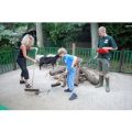 Zookeeper Experience at Paradise Wildlife Park for One Adult and One Child