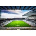 Premier Stadium Tour and Lunch Experience for Two at Newcastle Utd FC