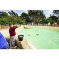 Penguin Feeding Experience at Drusillas Zoo Park