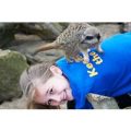 Zoo Keeper Experience at Drusillas Zoo Park