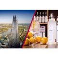 The View from the Shard & Jensens Gin Experience for Two at Bermondsey Distillery