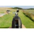 Air Pistol Experience for Two