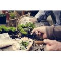 Terrarium Workshop for Two at Porto’s Flowers