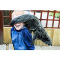Half Day Zoo Keeper Experience for Two at Wills Wild Animal Encounters
