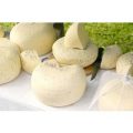 3 Hour Artisan Cheese Making Class at The Smart School of Cookery