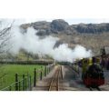 Private Hire of Eskdale Belle or Ratty Coaches for Four