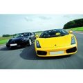 Ferrari and Lamborghini Driving Thrill