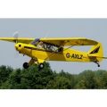 20 Minute Introductory Piper Cub Flying Experience